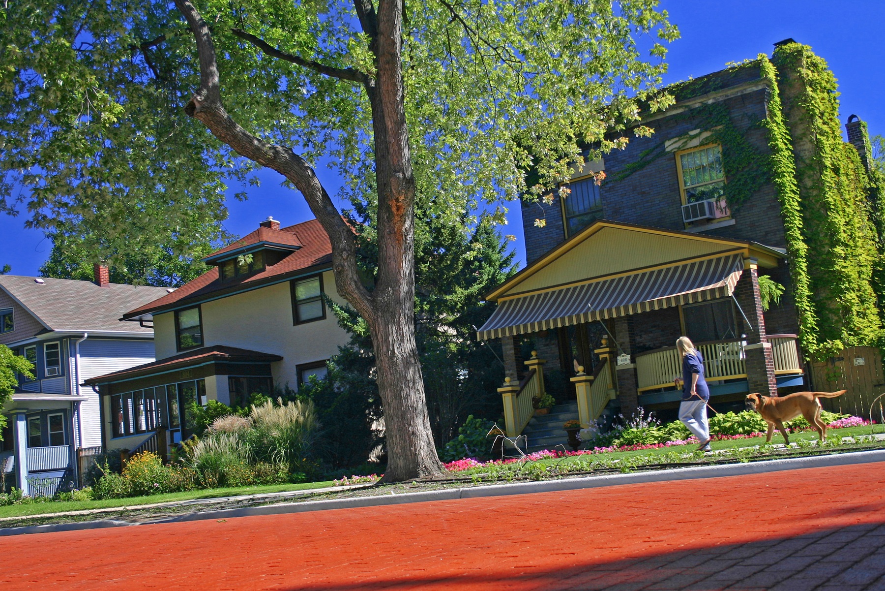 Oak Park residential street